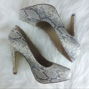 Eva And Zoe Lady Pumps White And Grey Snake Print